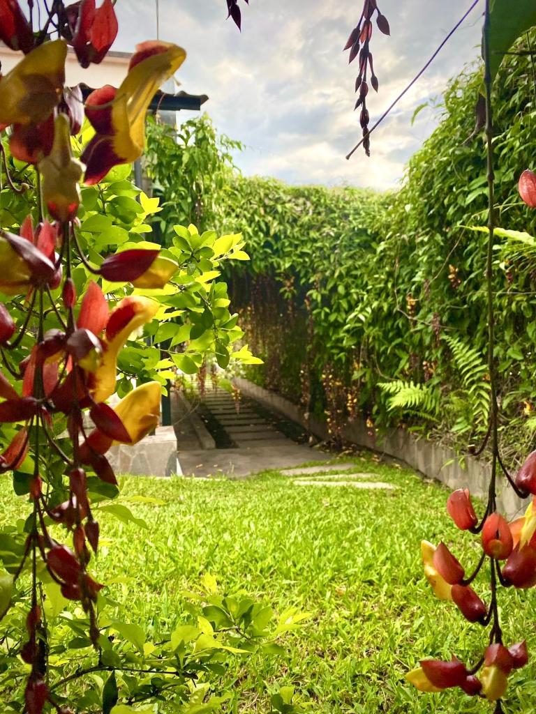 Hotel Casa campestre HH photo 4