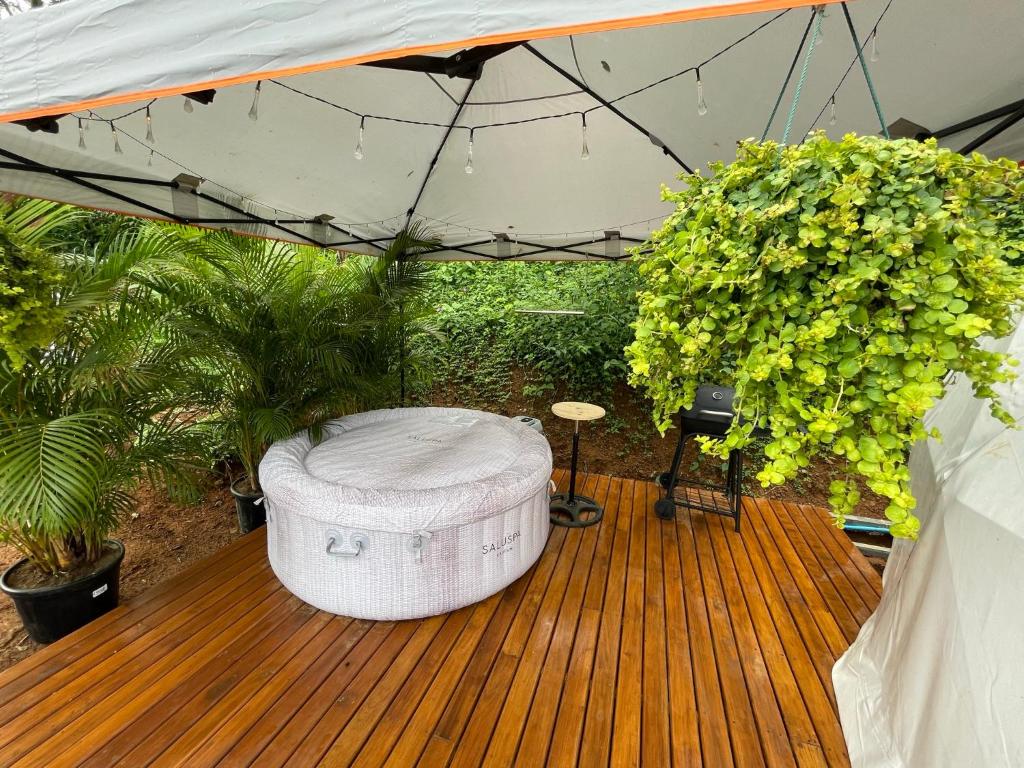 La Comarca River Glamping Dome near Manuel Antonio photo 3