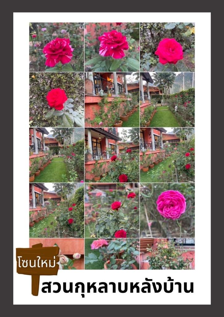 Rango pool villa แรงโก้พูลวิลล่า photo 4