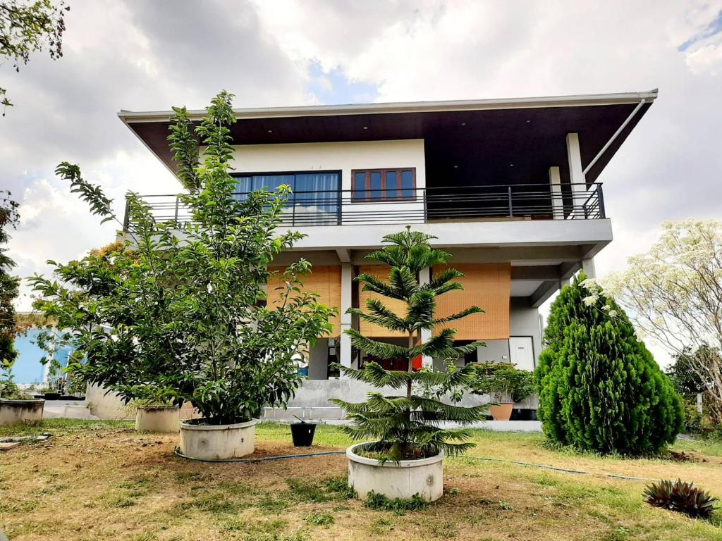 Niramitsook Farm Stay Khao Yai บ้านไร่นิรามิสสุข ฟาร์มสเตย์ ปากช่อง เขาใหญ่ photo 2