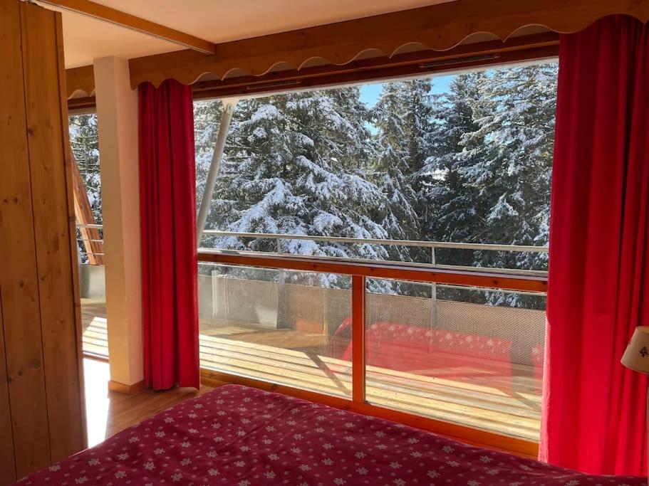 Chamrousse, pied d'une piste, terrasse vue sapins