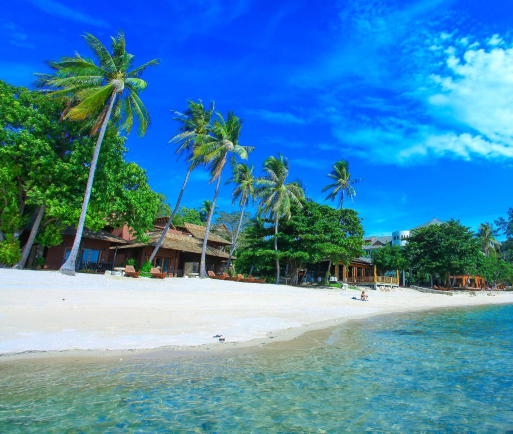 Koh Tao Beach Club photo 3