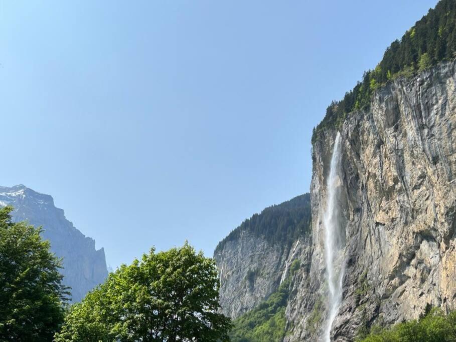 Chalet Maithili Lauterbrunnen -152-Year-Old Majestic Chalet photo 3