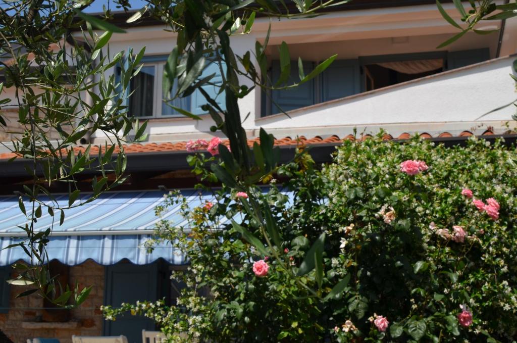 Holiday Home Sverko with garden in Novigrad photo 2
