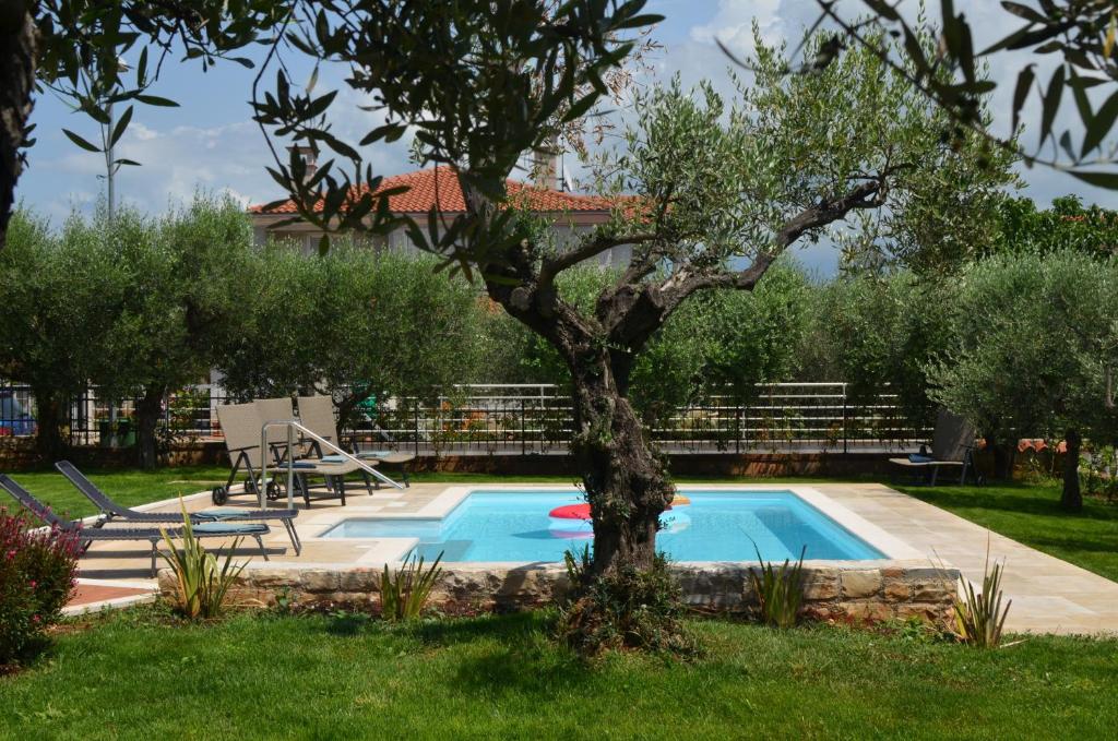 Holiday Home Sverko with garden in Novigrad photo 3