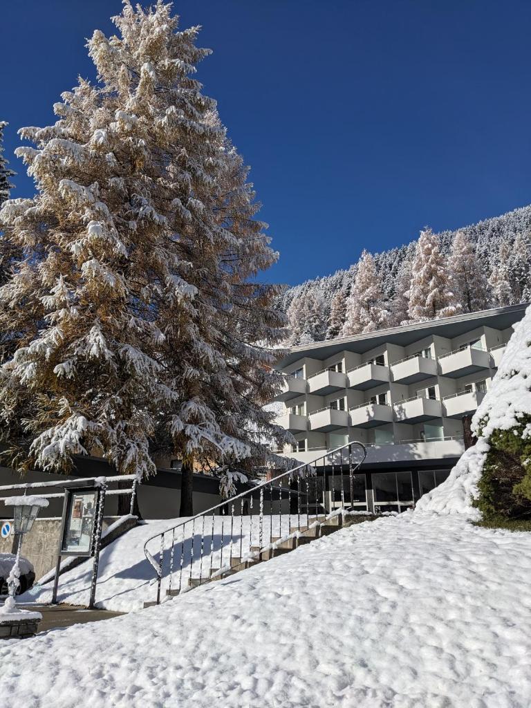 Haus Zervreila photo 3