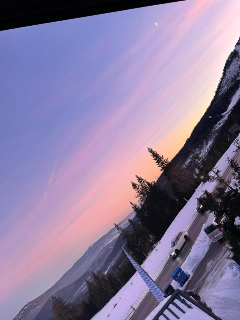 Arber Alm photo 1