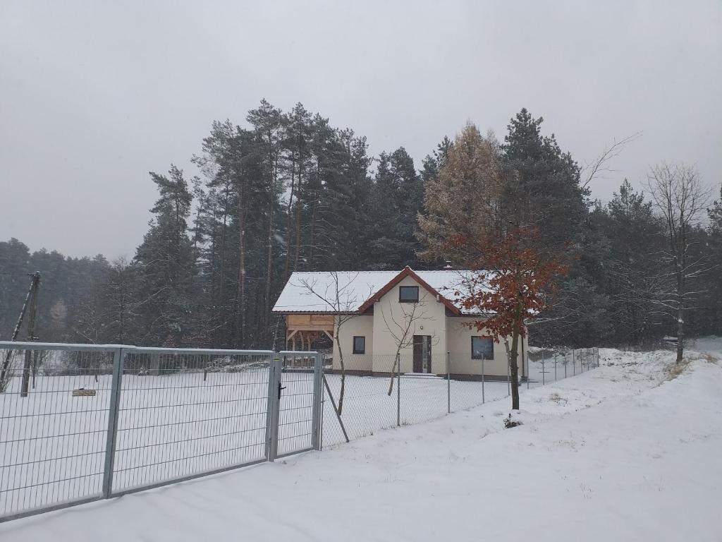 Pod lasem u Surajów photo 3