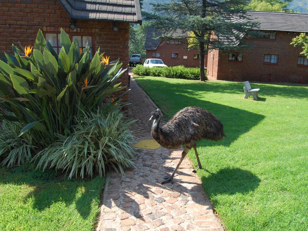 Mount Amanzi photo 2