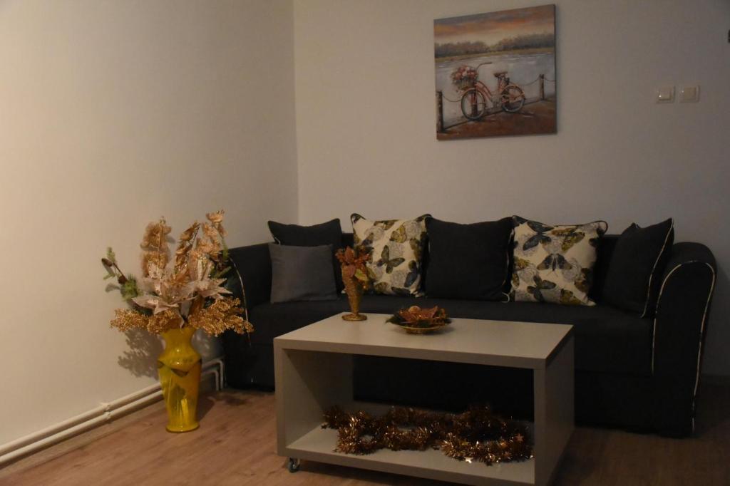 Casa Novis photo 3