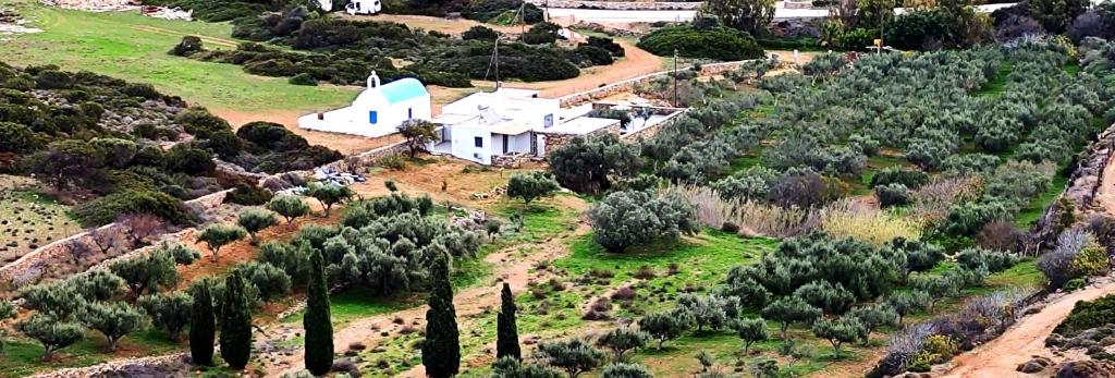 Ktima Elea Antiparos photo 1