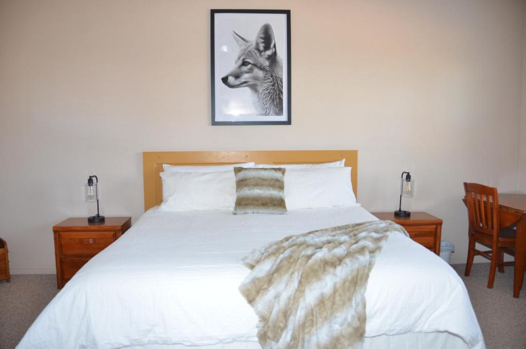 Bent Mountain Lodge photo 1