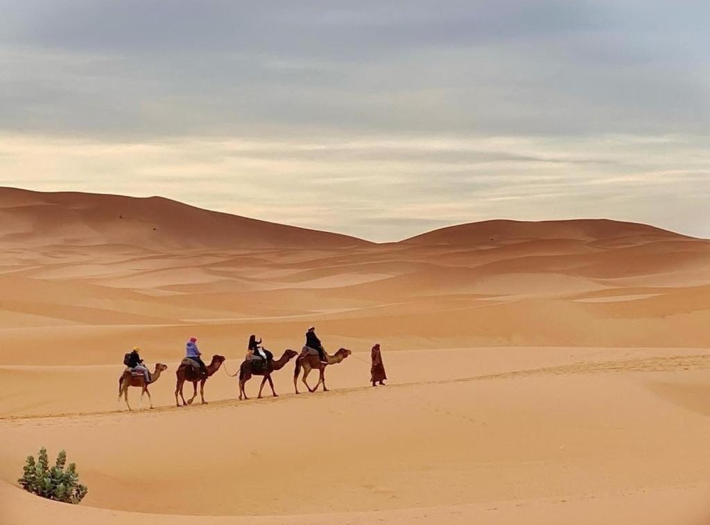 Camp Excursions 4x4 & Trekking
