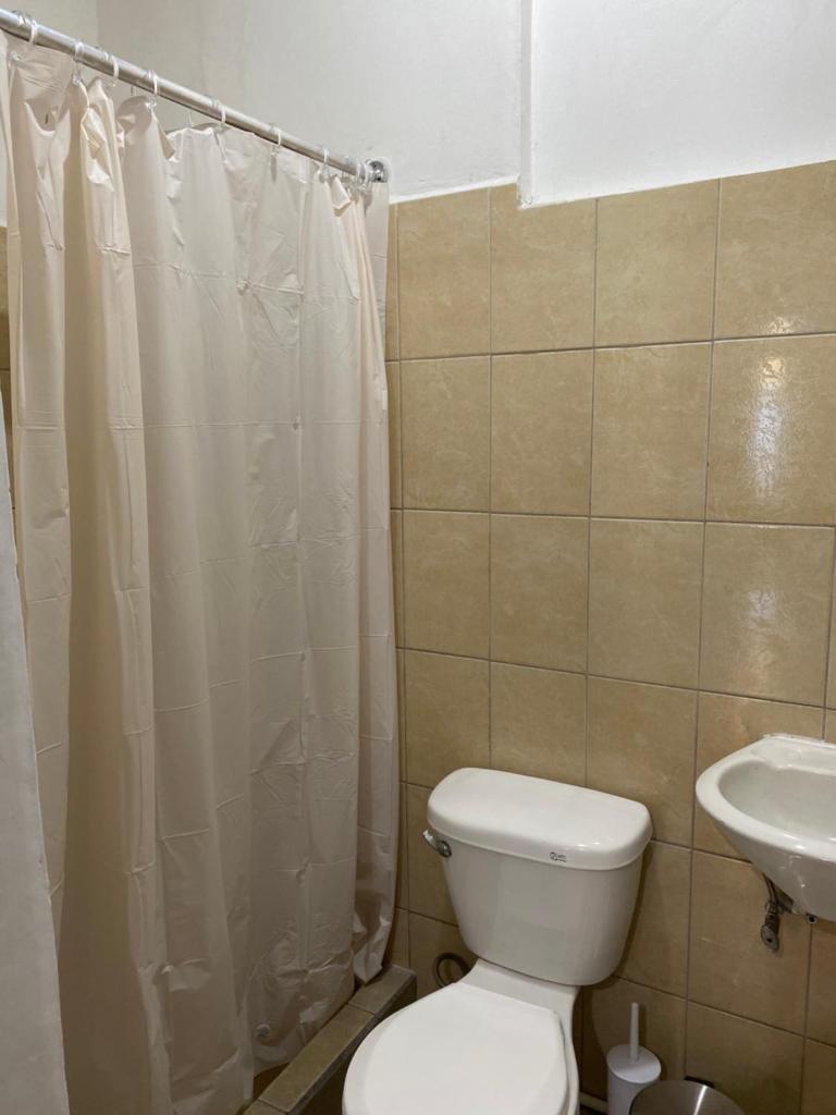 Villa Verde photo 3