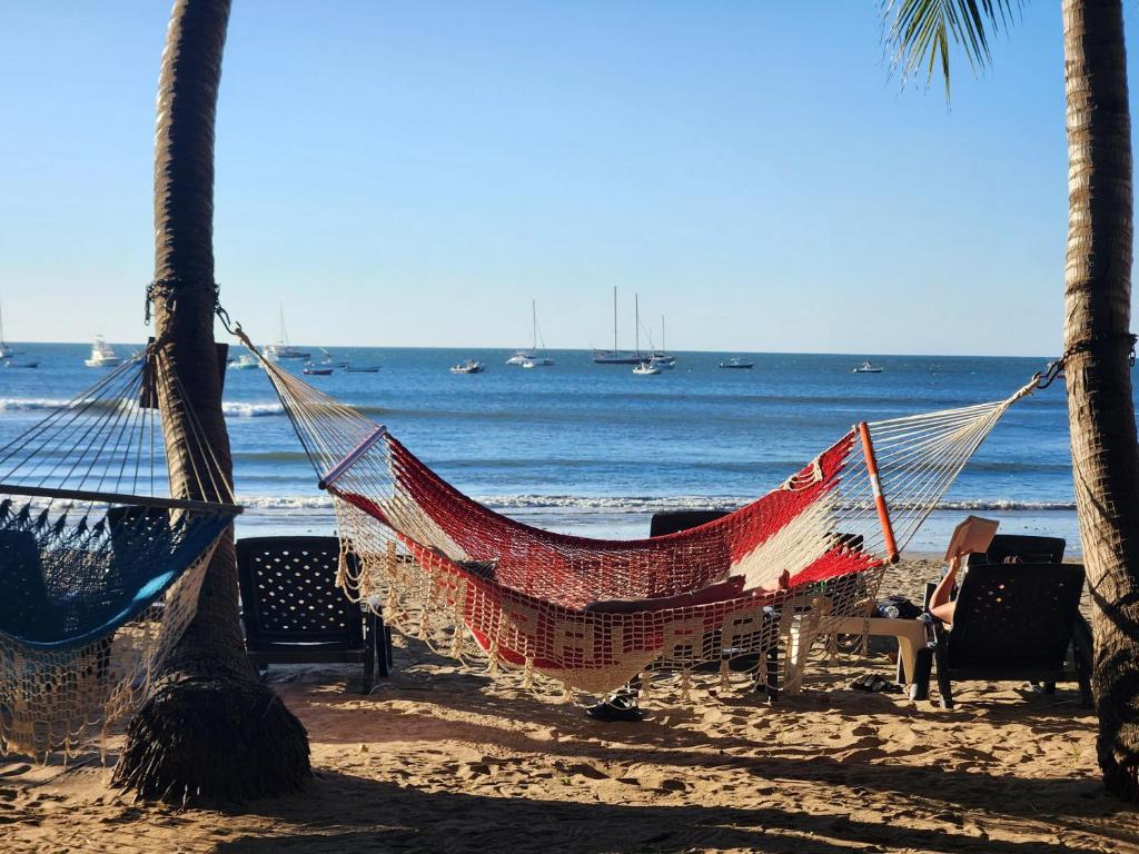 Hotel La Palapa photo 2