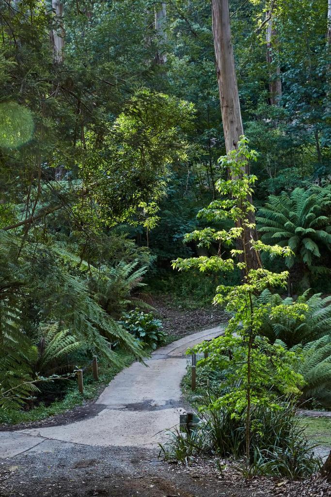 The Fernglen Forest Retreat photo 3