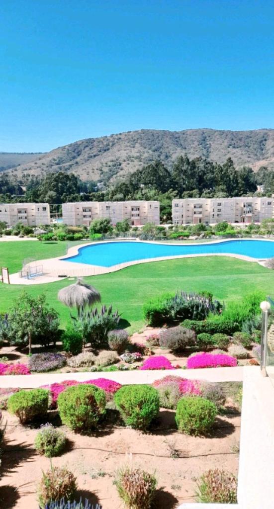 Arriendo Departamento en Lomas de Papudo 4 photo 1