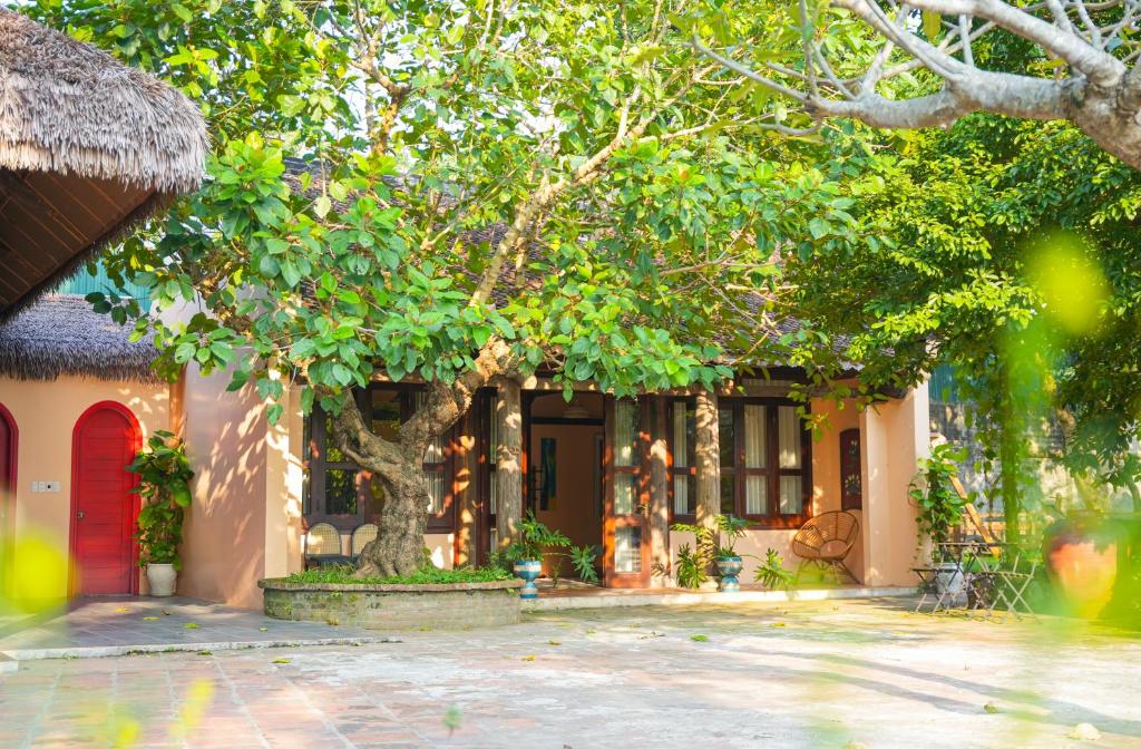 Bavi Hideaway Retreat - Venuestay photo 1