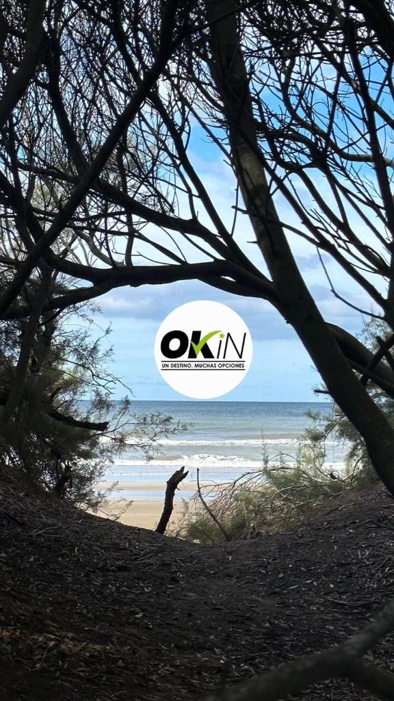 OKIN 1 photo 2