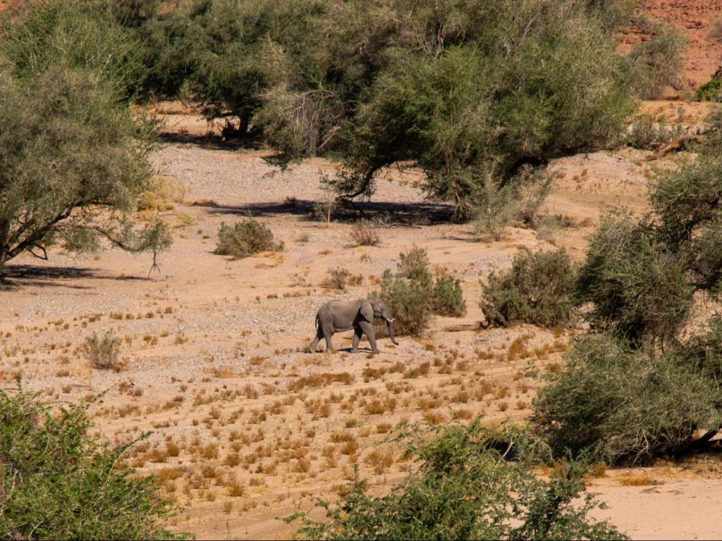 Ondjamba Hills photo 2