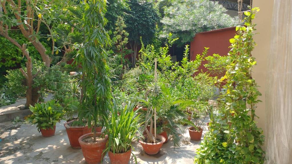 Naturess'S Hut photo 3