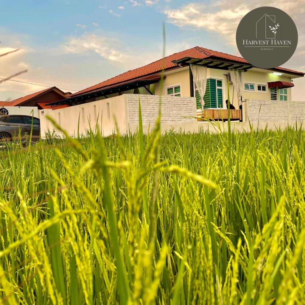 Harvest Haven Homestay photo 1