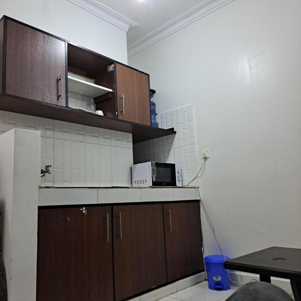 Dolphin-holiday homes mombasa photo 1