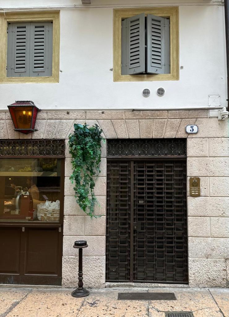 Domus Scudo di Francia, Verona