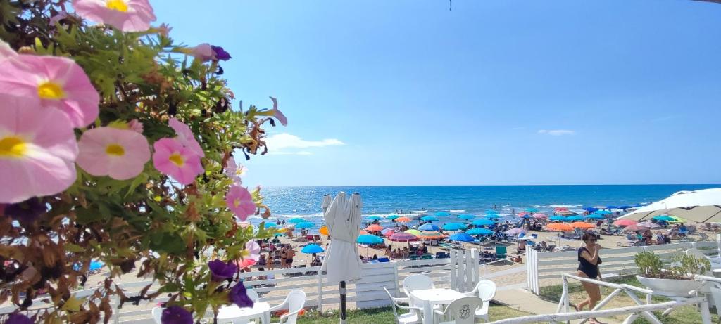 Villa Kinga photo 1
