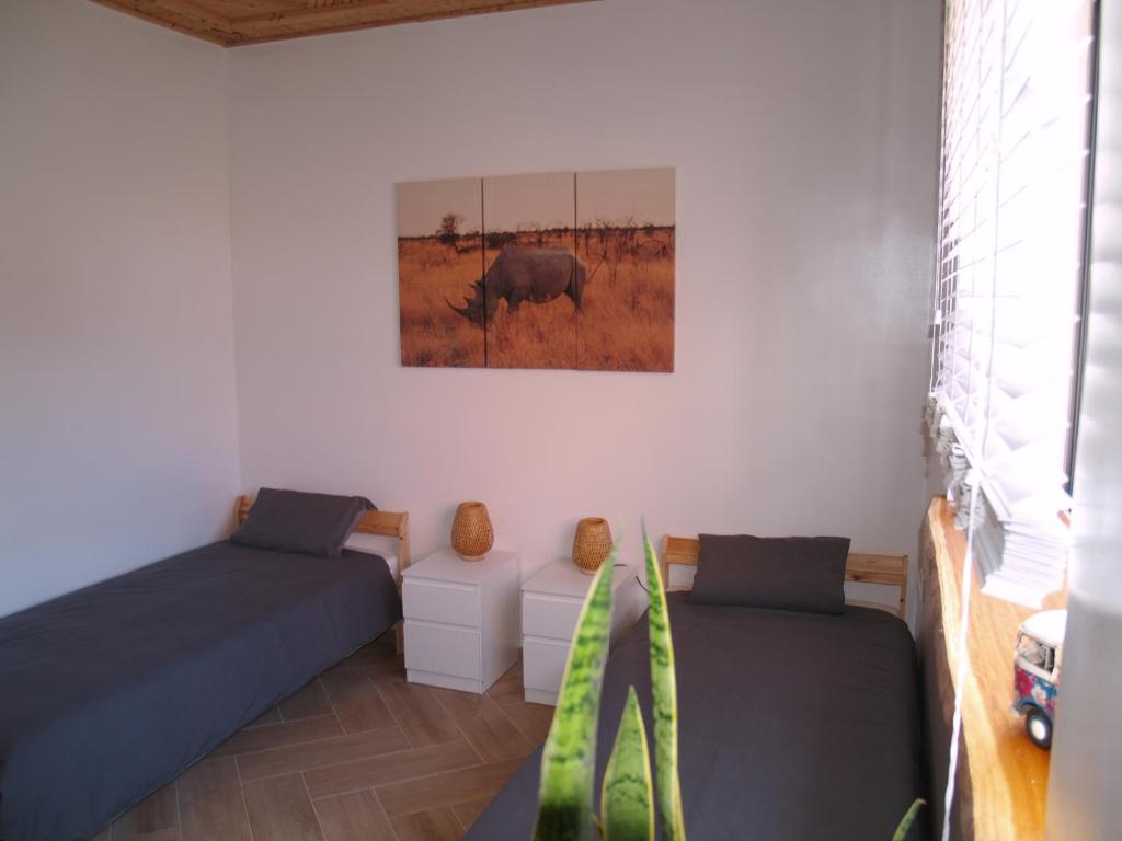 Dar Makai Surf Hotel photo 3