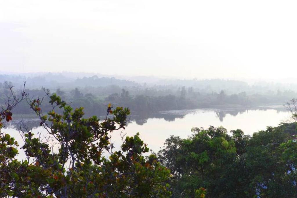 Anugaa by the river Bolgoda photo 2