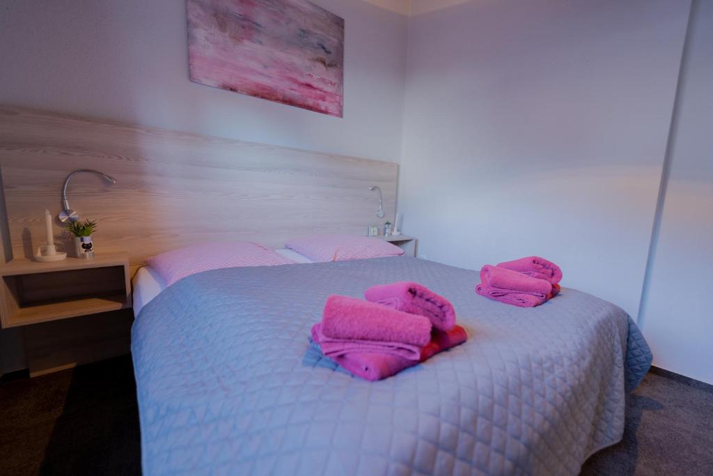 Ferienhaus Schöne Aussicht Ferienwohnung Rot photo 4