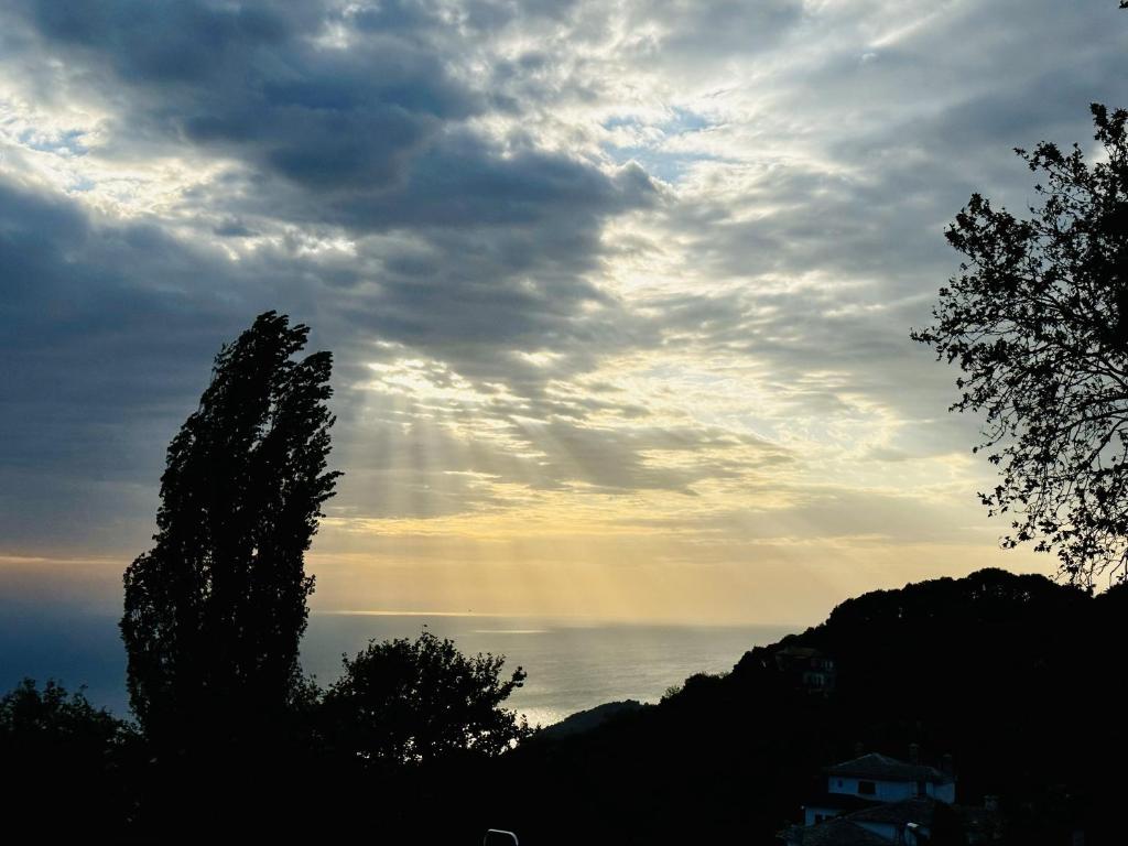 Luxury Villa at Pelion- Ruby photo 2