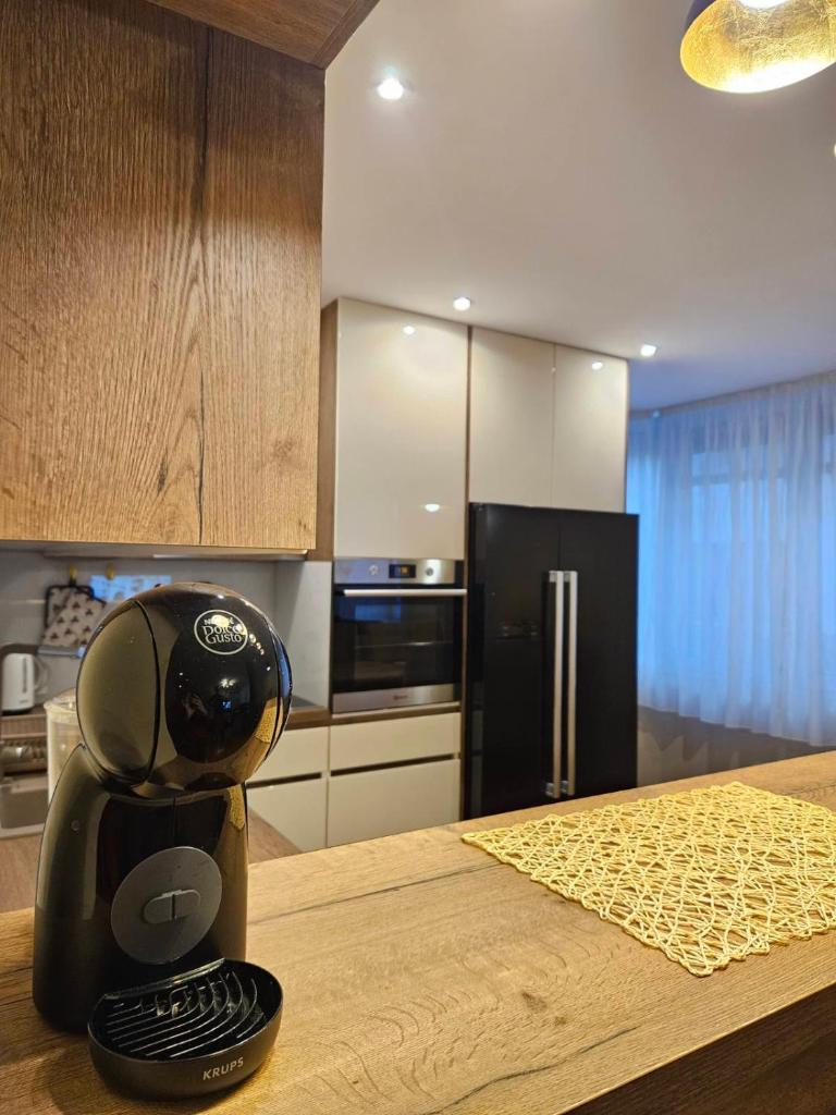 APARTMAN CENTAR BULEVAR EX sa GARAZOM photo 1