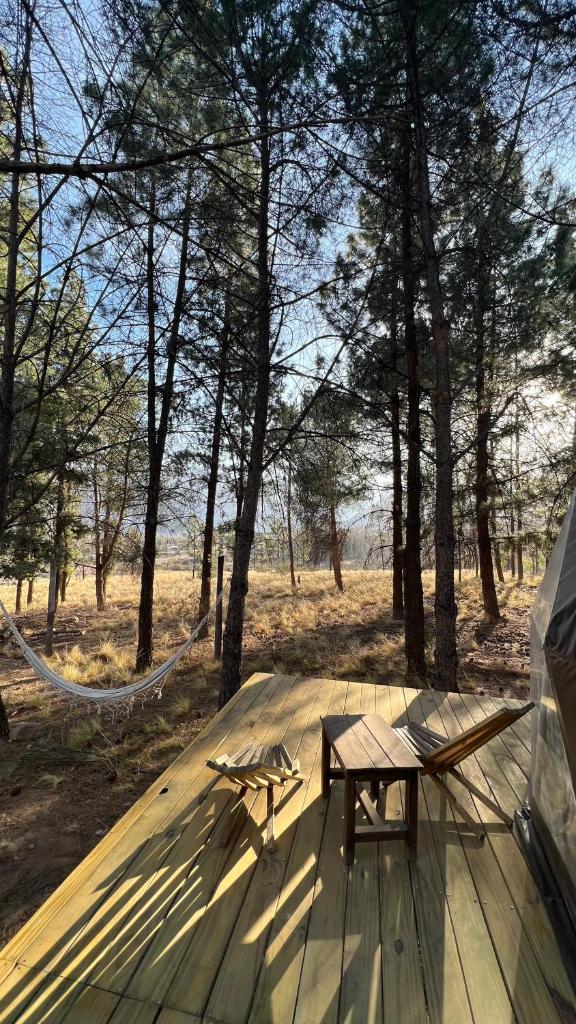 Deer Glamping photo 2