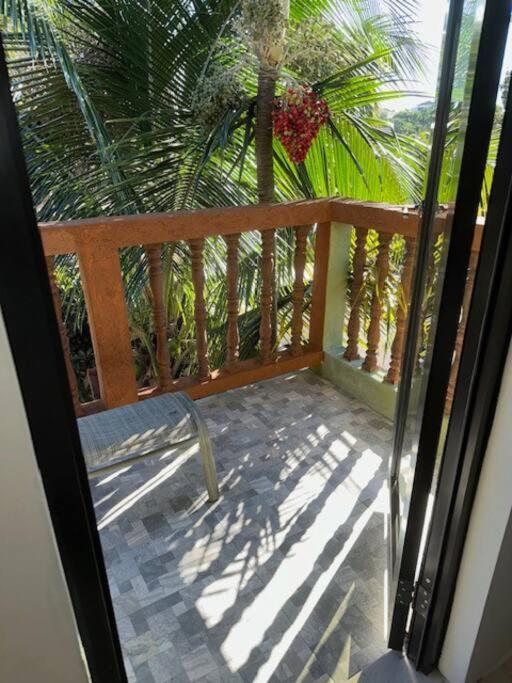 Hidden Oasis in Mandeville photo 4