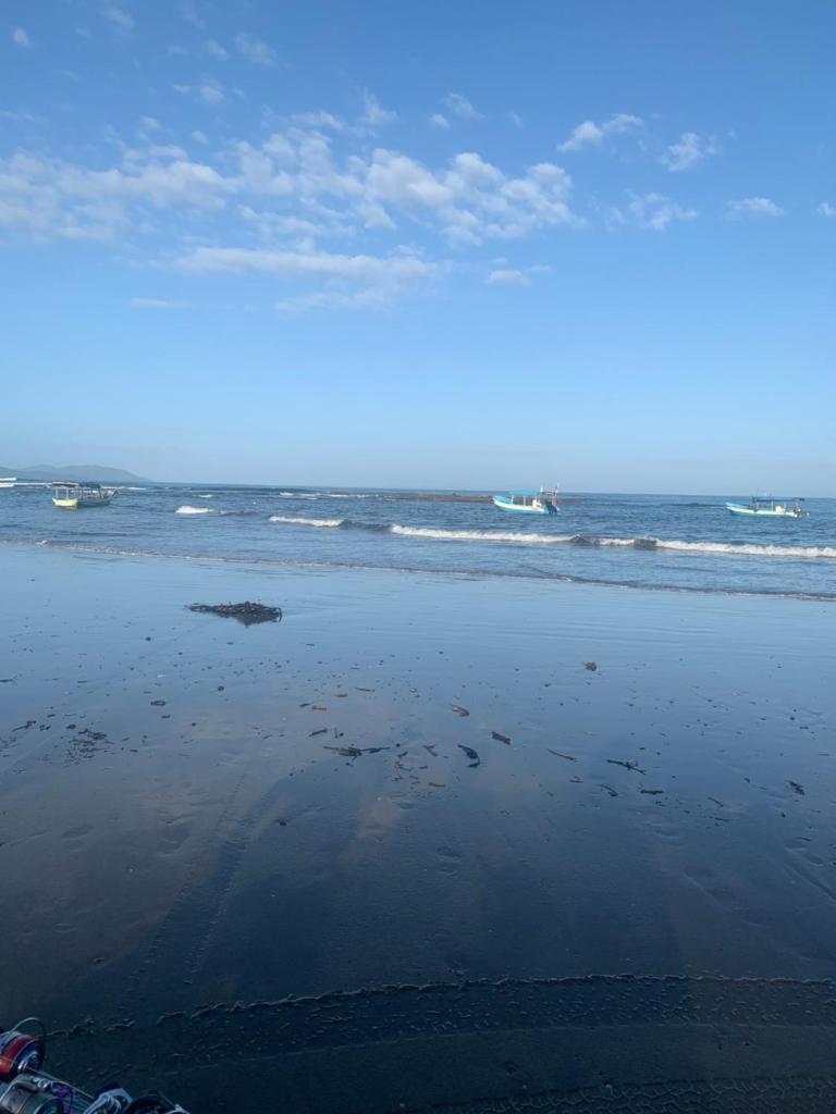 Ocekepala photo 1