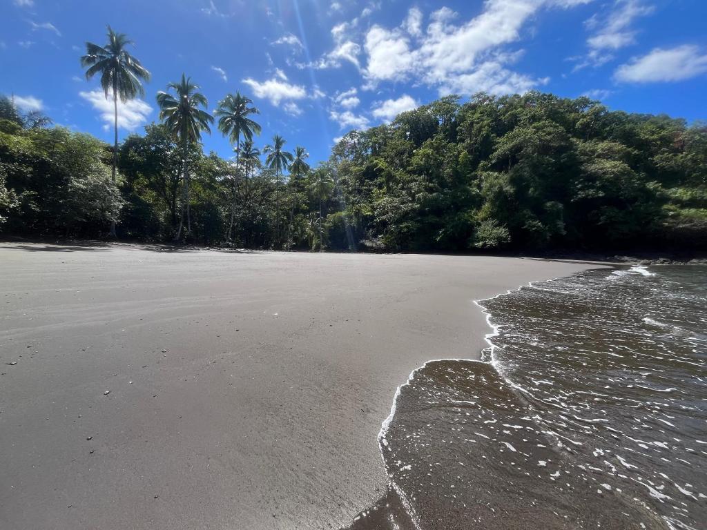Ocekepala photo 4