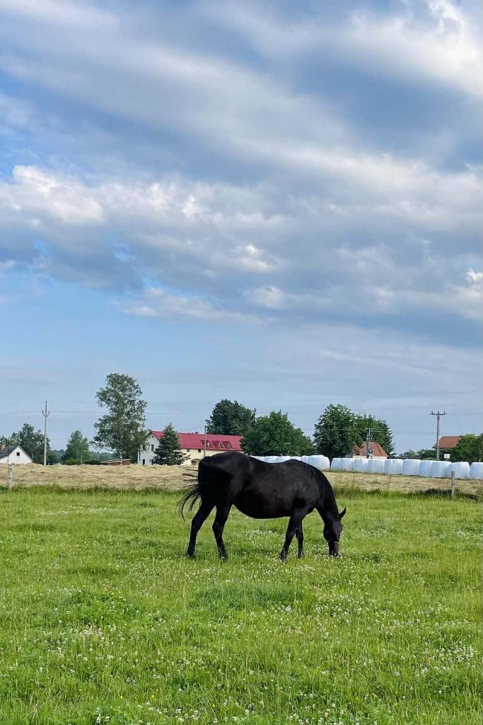Ubytování U Rozárky photo 2