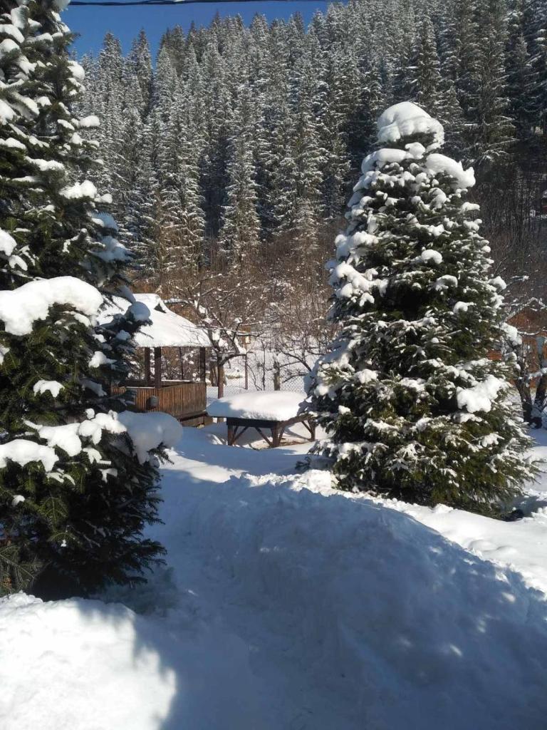 Sadiba Pid Skeleyu photo 3
