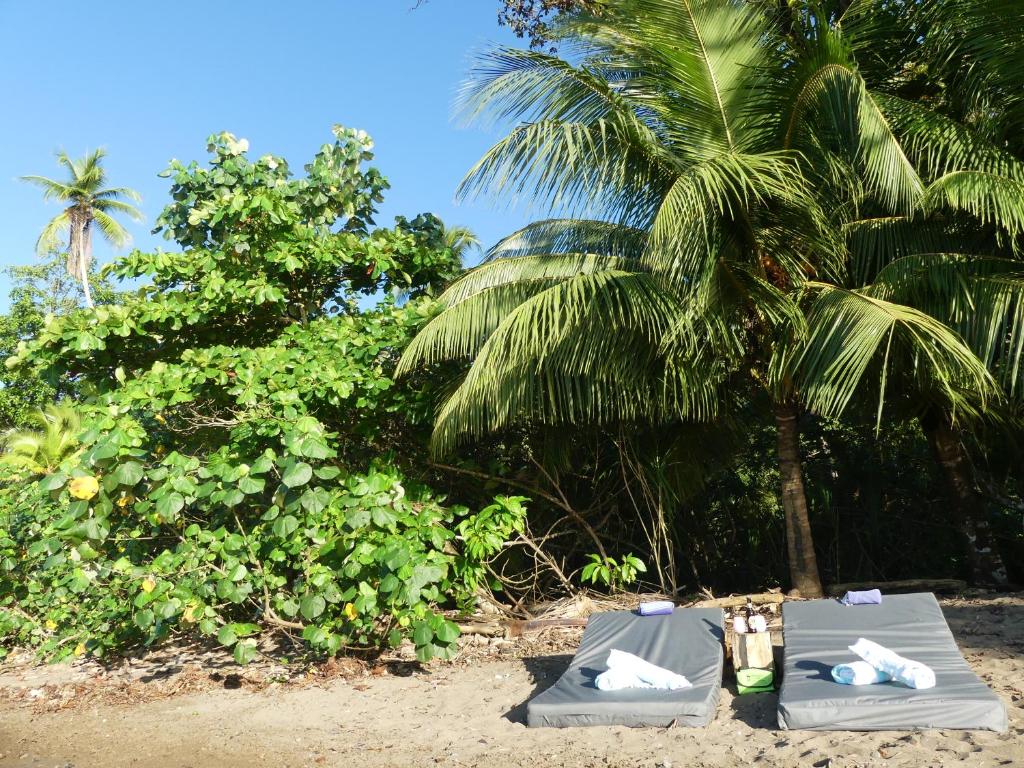 The Tranquilo Lodge, Adult Only, All meals included photo 2
