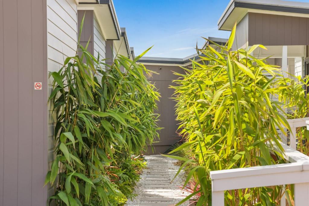 Tiny House Stays House 6 photo 3
