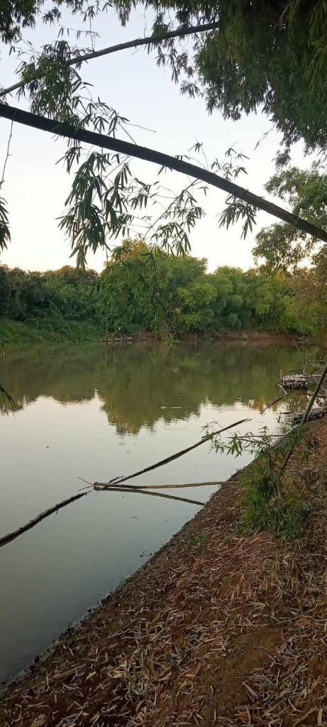 สามชุกบ้านสวน photo 2