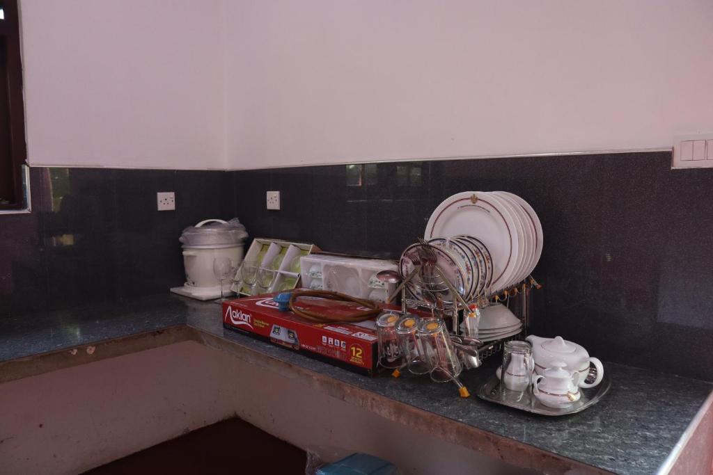 Diamond Cottage photo 3