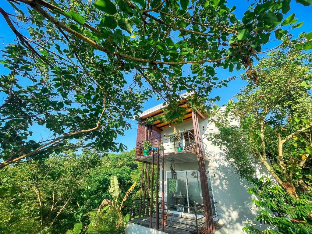 Che Resort photo 3