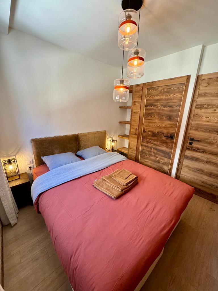 Appartement au pieds des pistes photo 3