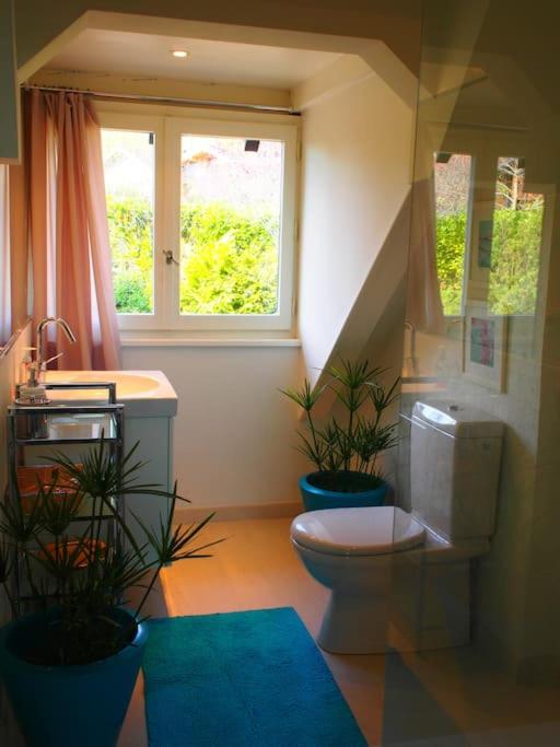 Beautiful French mountain home photo 4