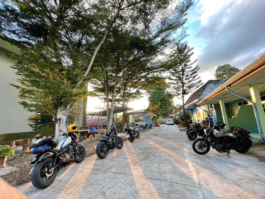 Tree House Resort Betong photo 2
