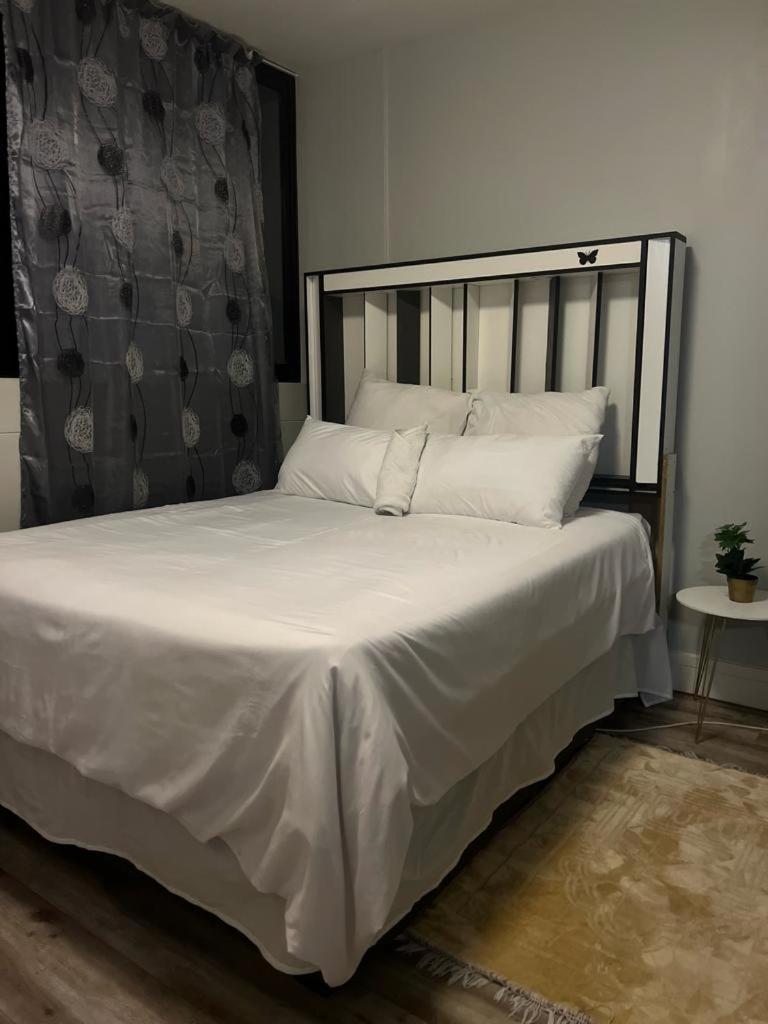 Windhoek City Center self catering appartment photo 4