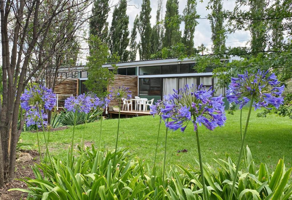 Collett House and Lavender Cottage photo 2